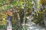 中津川渓谷探勝路nakatugawa glen valley tankaturo14